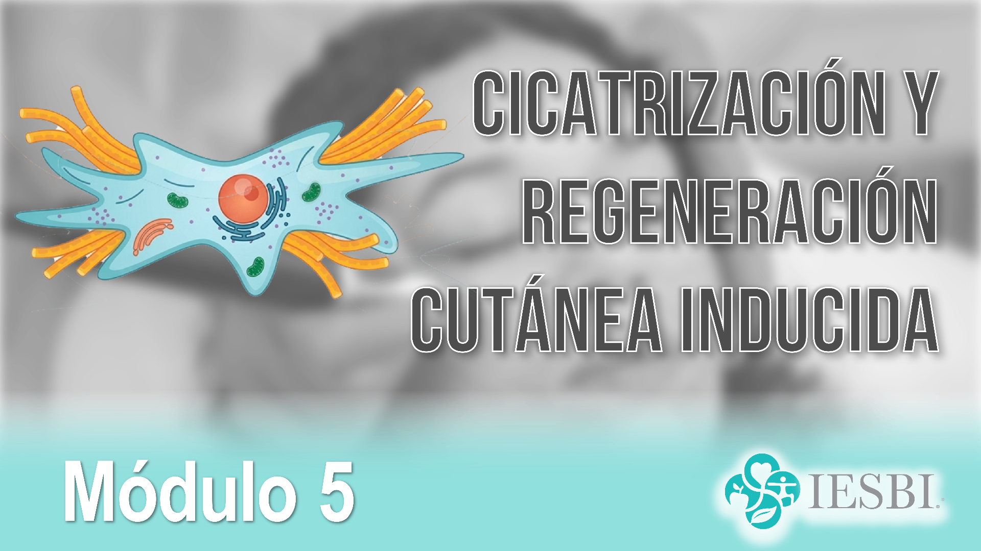 Módulo 05: Cicatrización y Regeneración Cutánea Inducida